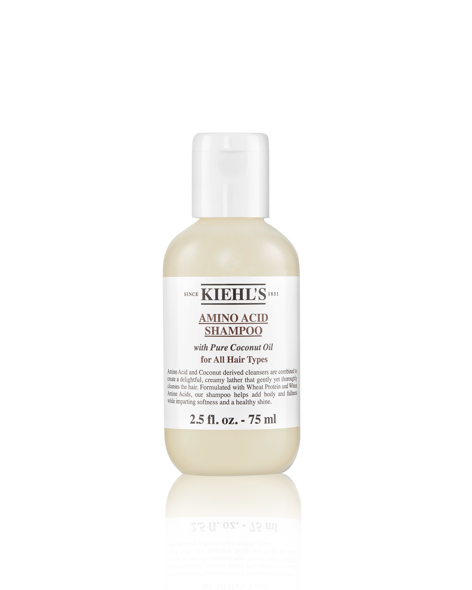 favor maskine kærtegn Kiehl's Amino Acid Shampoo – Caileur